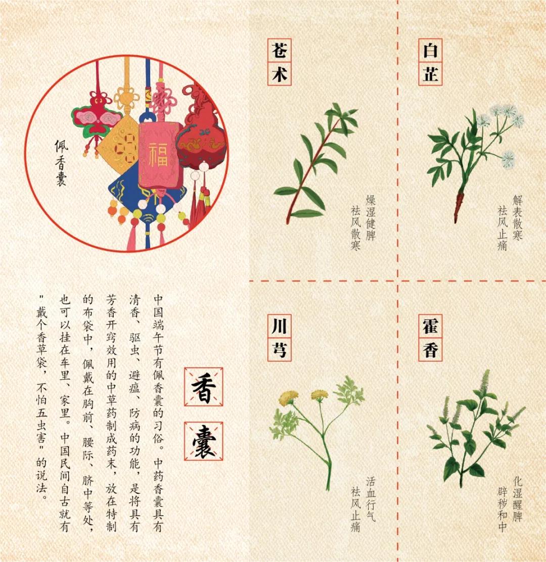 四时本草——天津传统中药技艺特展在东京拉开帷幕(图10)