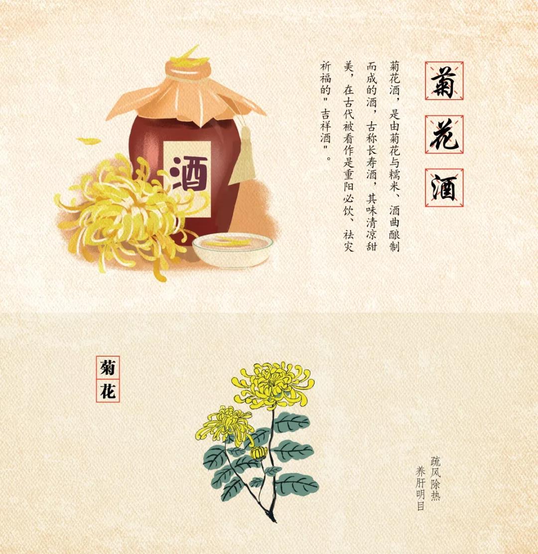 重阳节佩茱萸 饮菊花酒