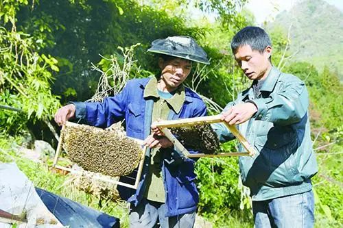 宣正明：民族医药挖掘刻不容缓(图1)